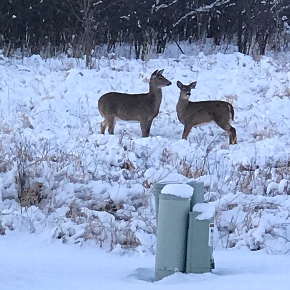 Meet your Posher, Donna - Picture 6 of 6